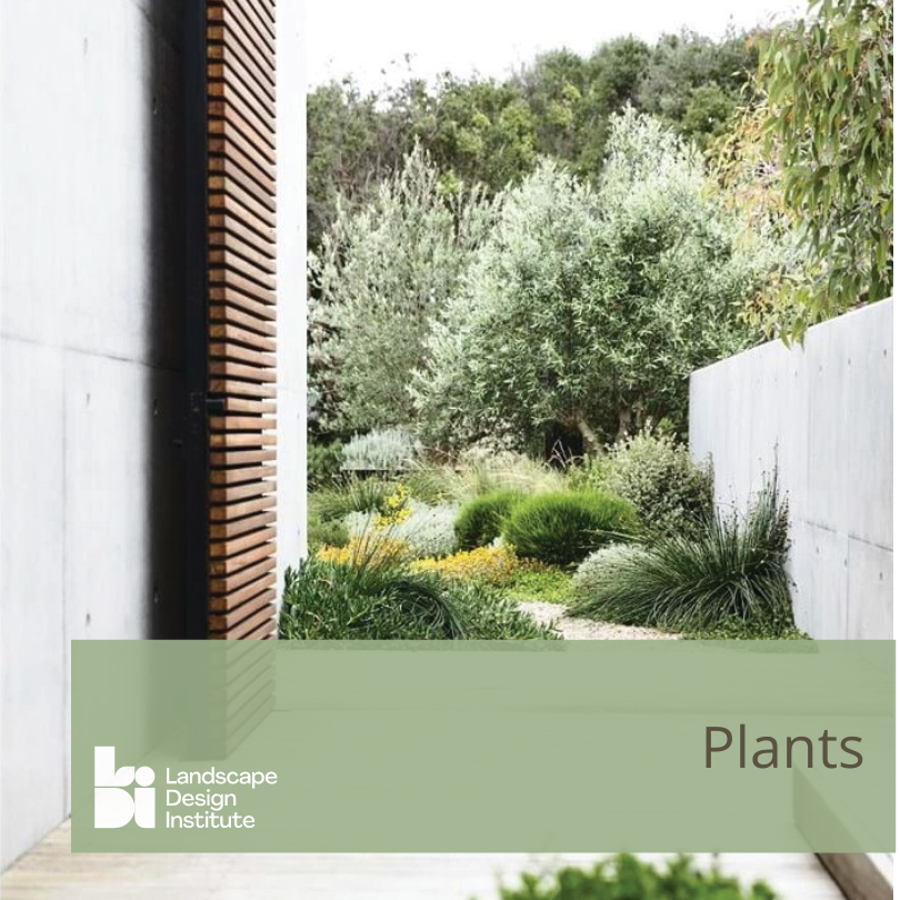 Plant Talks & Resources