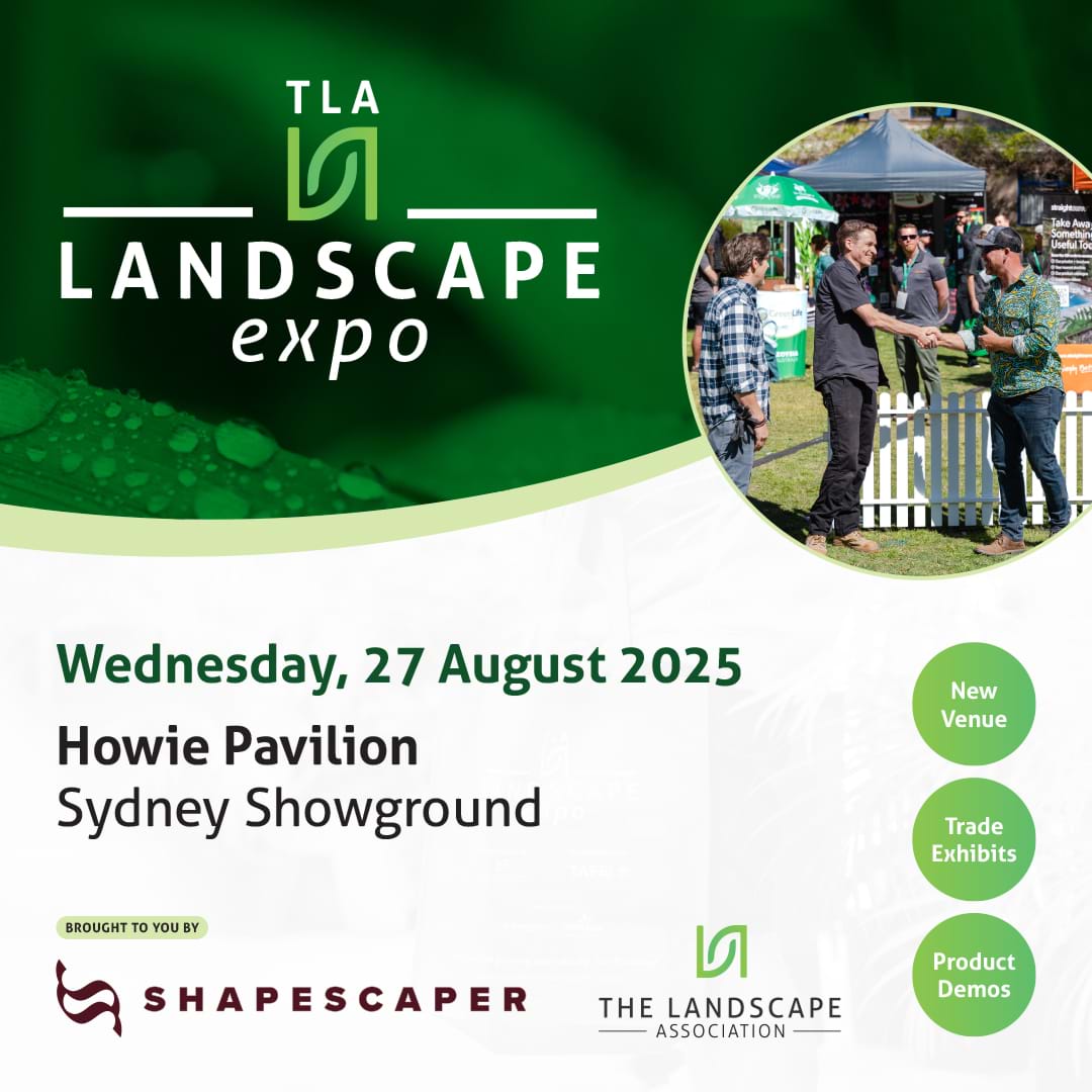 TLA Exp 20225 2 for 1