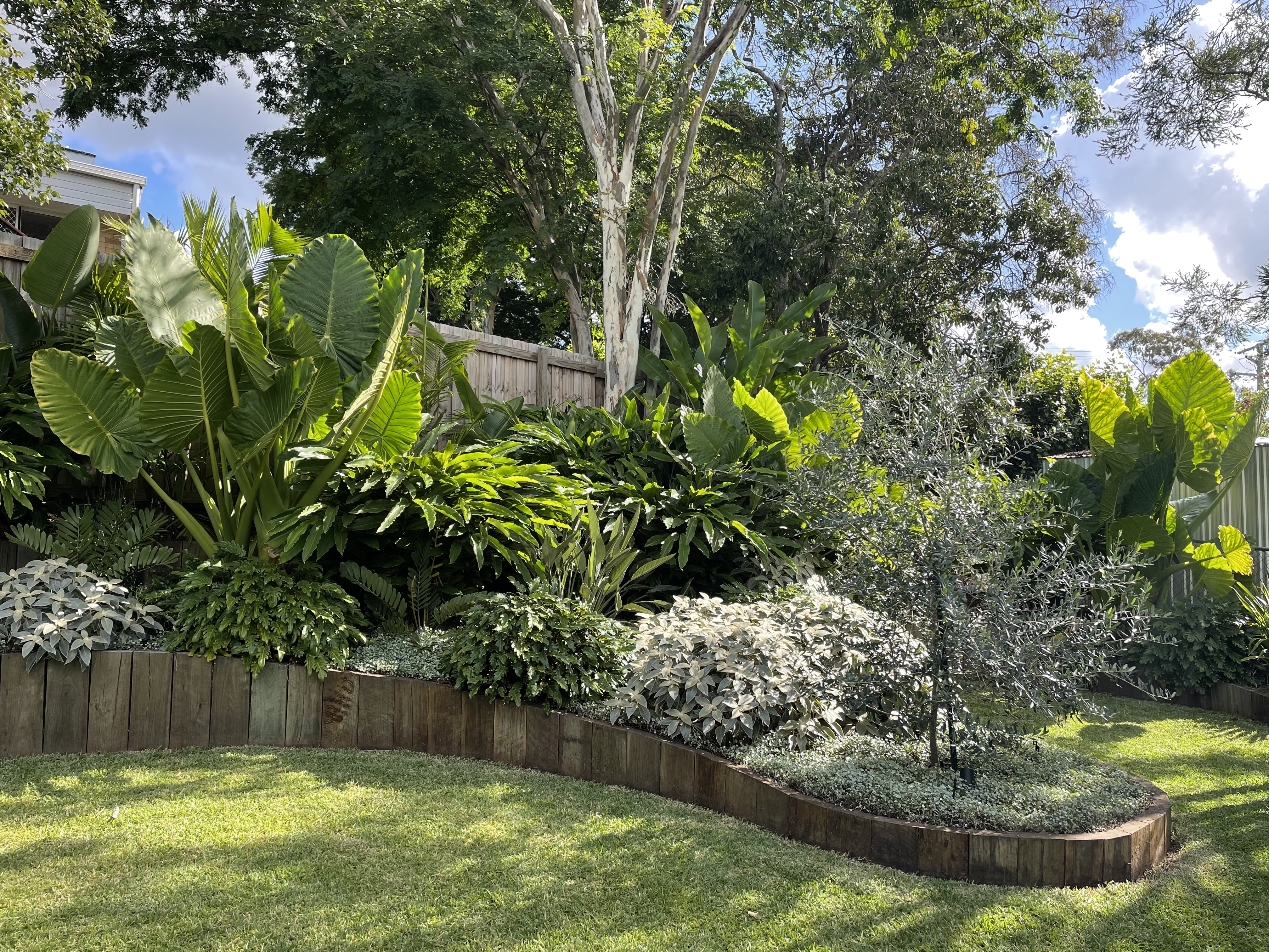 Johanna MacMinn
My Verandah
Bronze Award