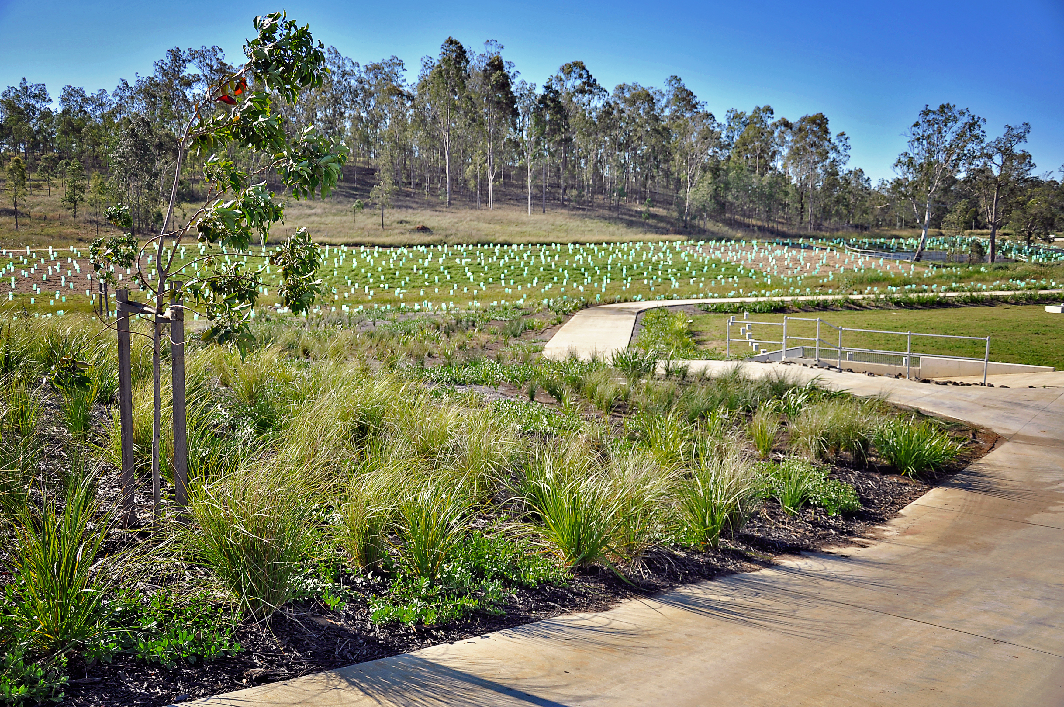 Landscape Management