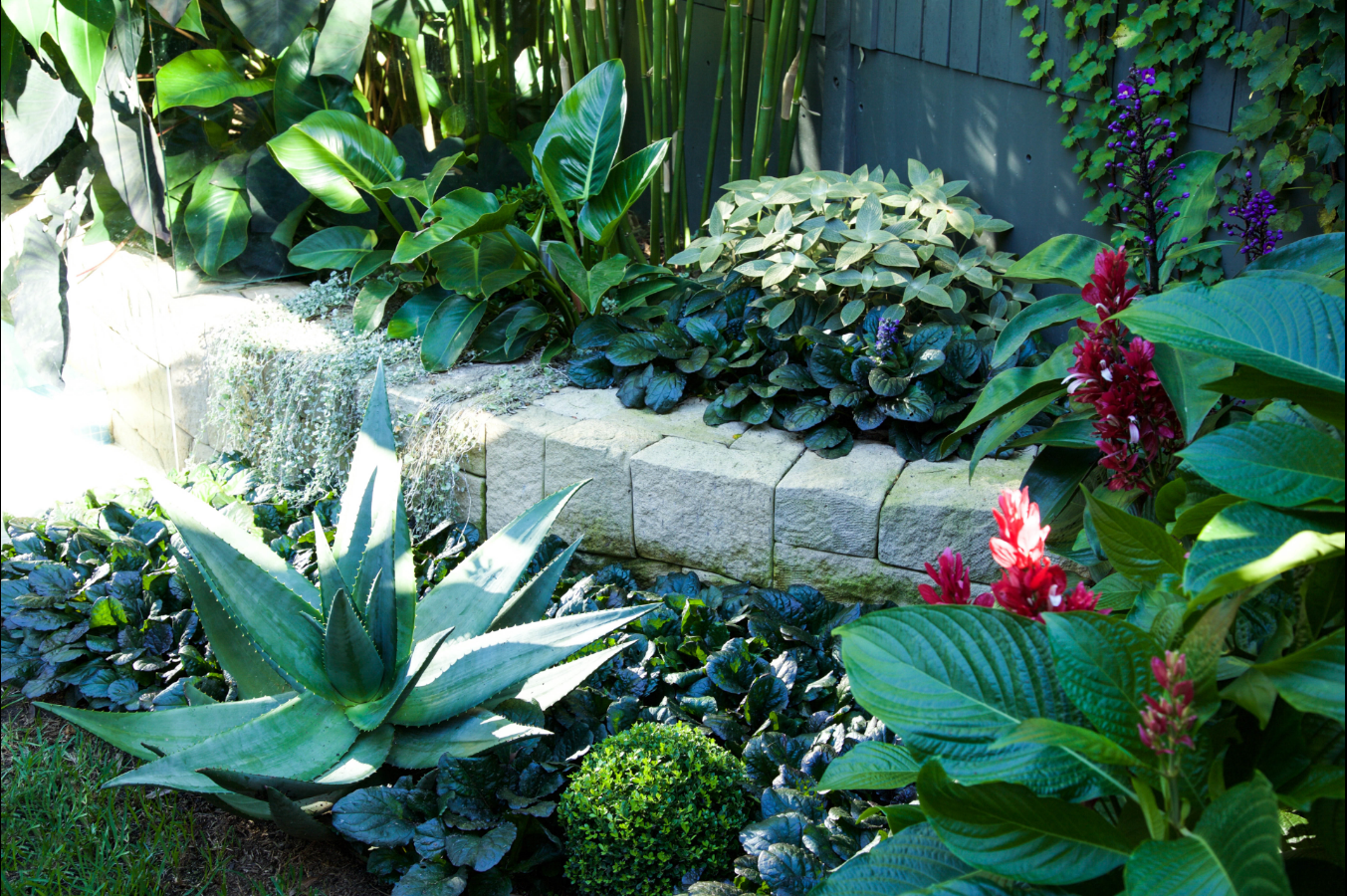 Landscape Design - Plantscape