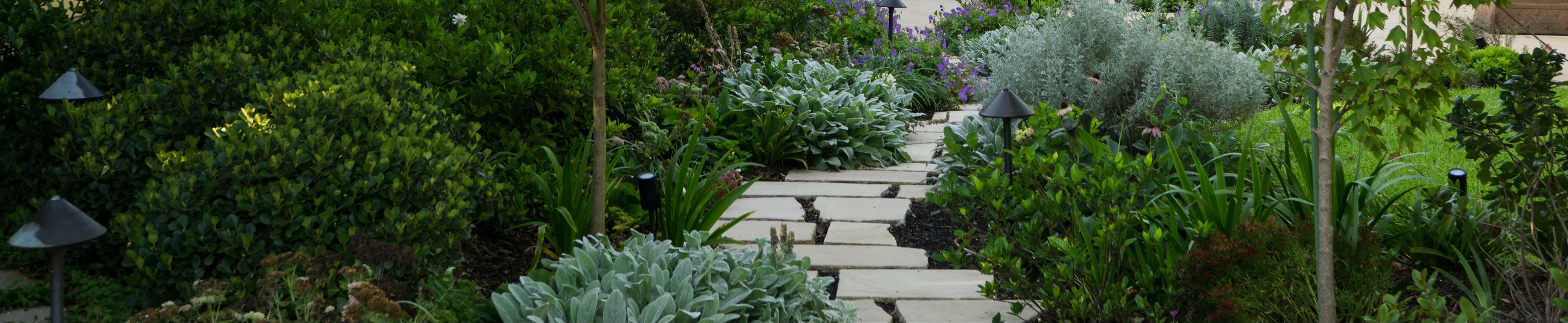 Membership Grades and Renewals