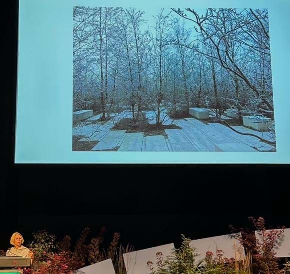 Teresa Moller, Chile - Nature: Again and Again