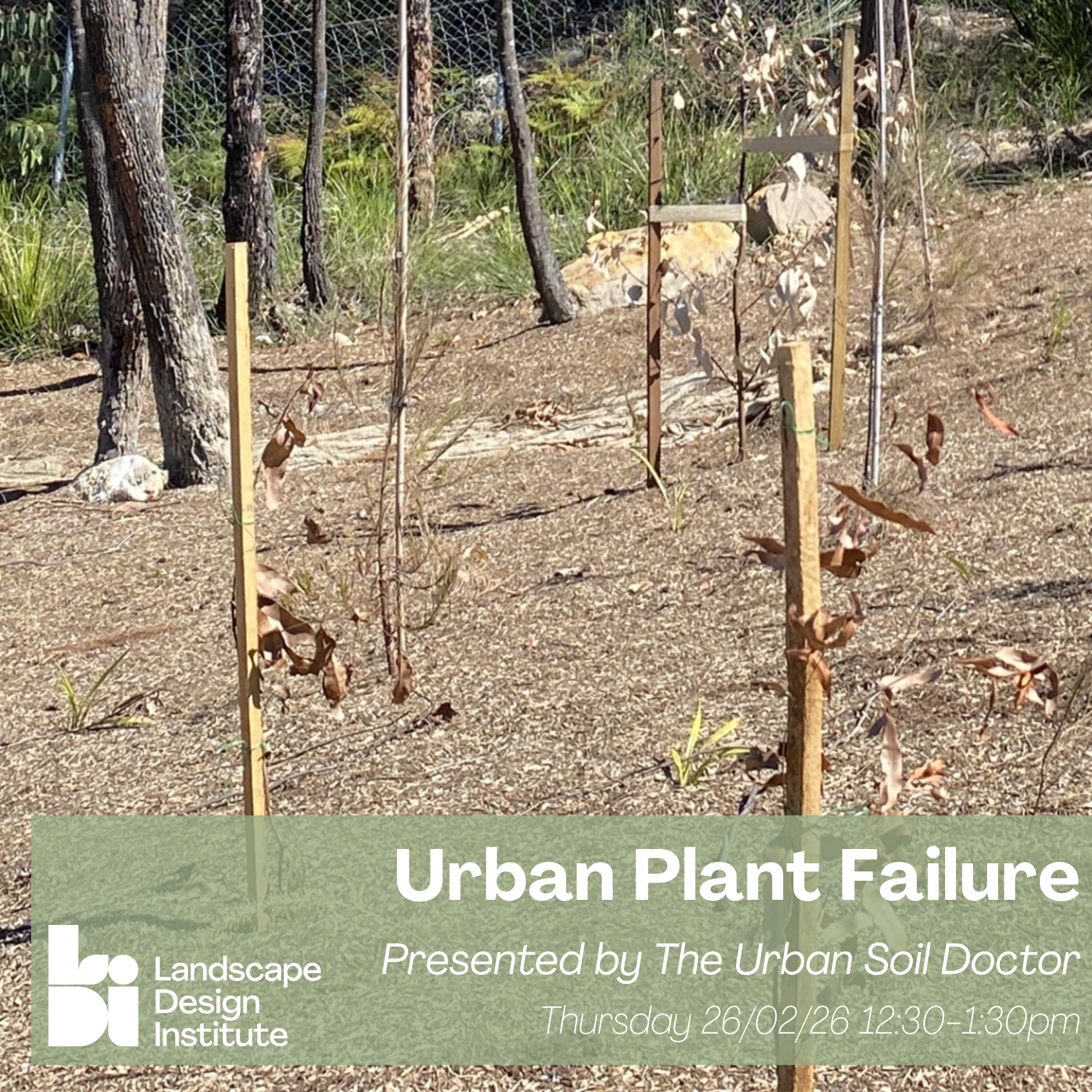 26 February: Webinar- Urban Plant Failure