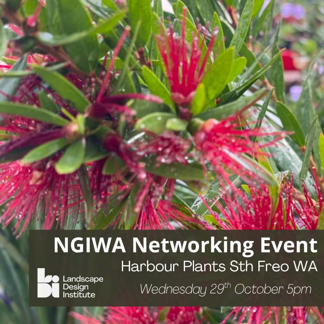 29 October: NGIWA Networking Event WA